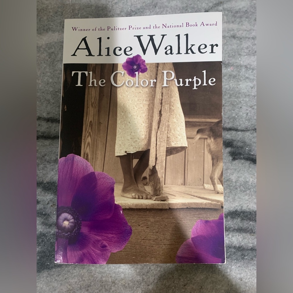 Paperback Book: “The Color Purple”. Used, good condition.